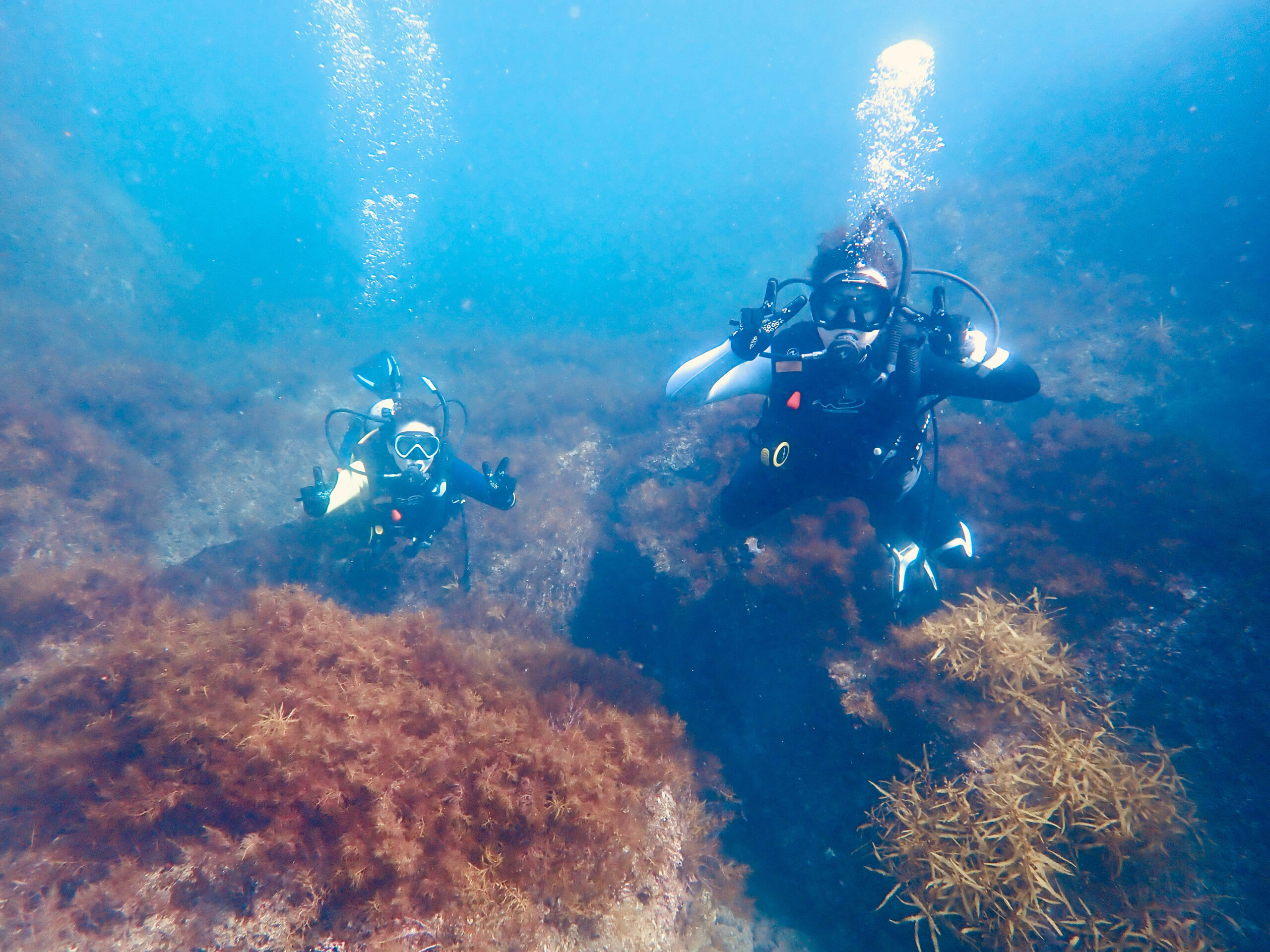 ダイビング風景