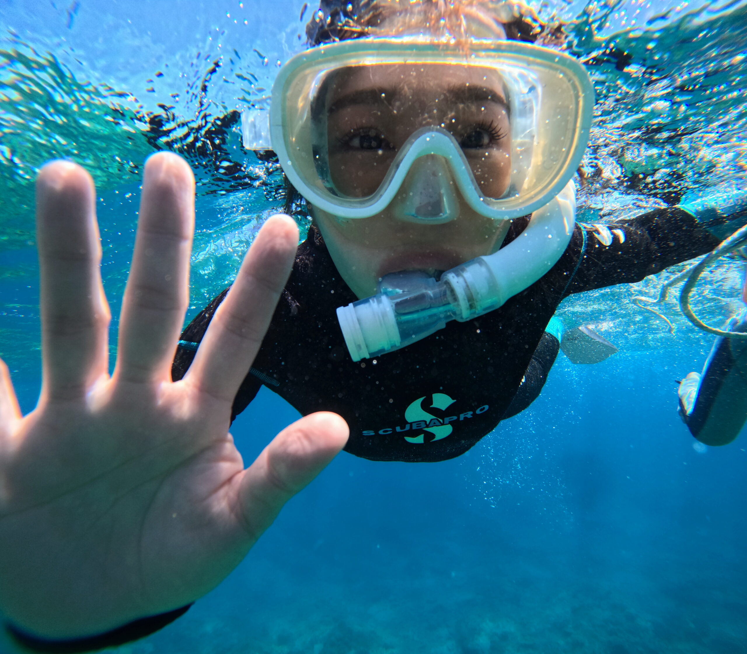 越前町での体験ダイビング・シュノーケリングの様子