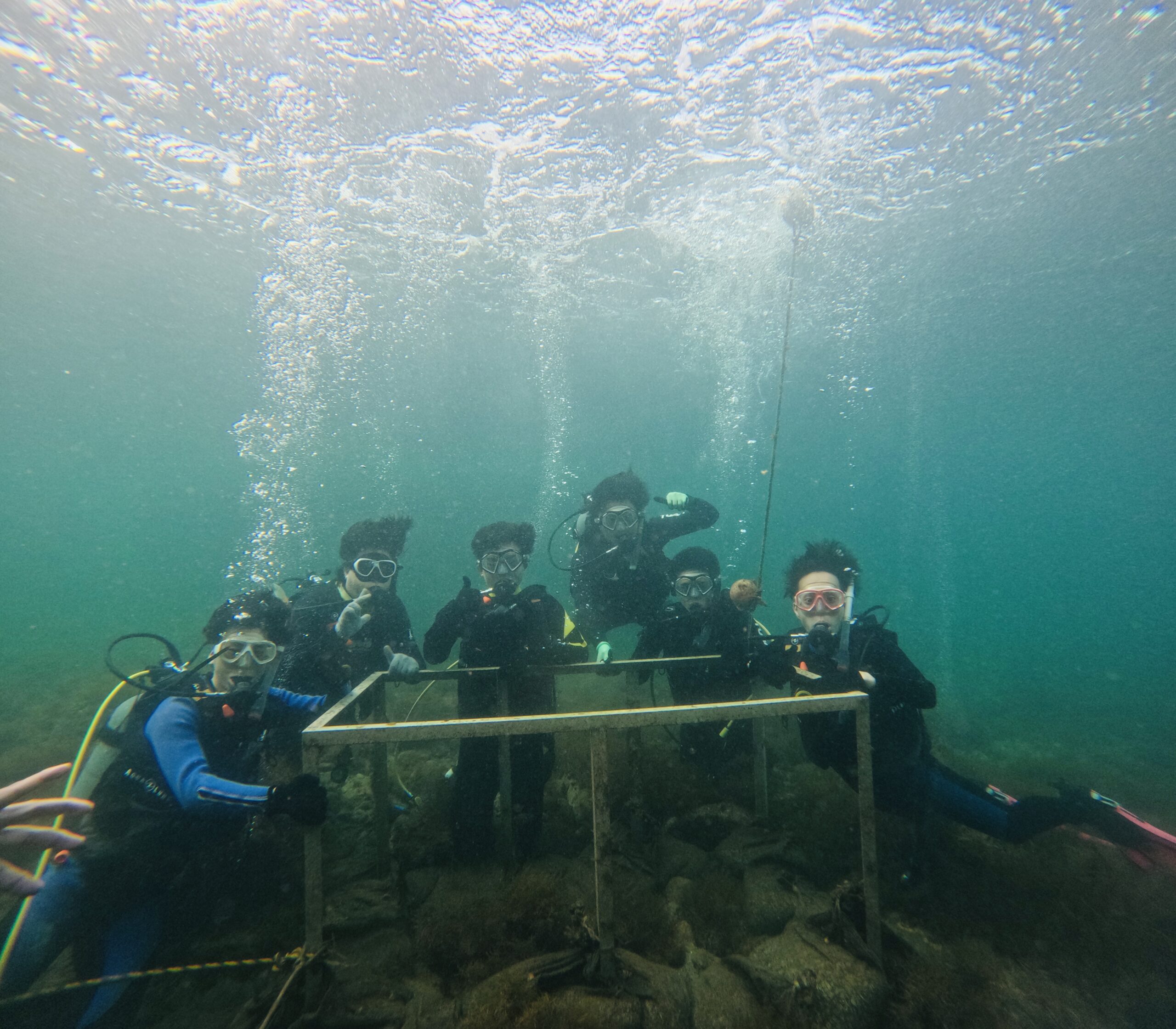 越前で体験ダイビング