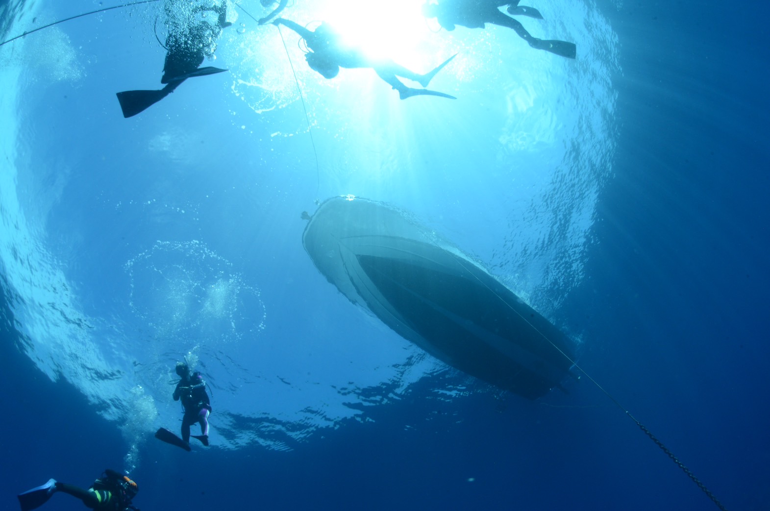 越前の海とダイバー